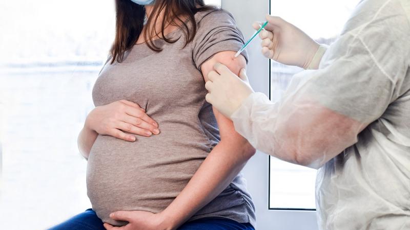 pregnancy vaccination